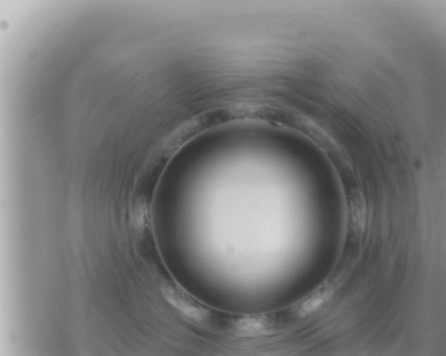 X0000073760574200608102048