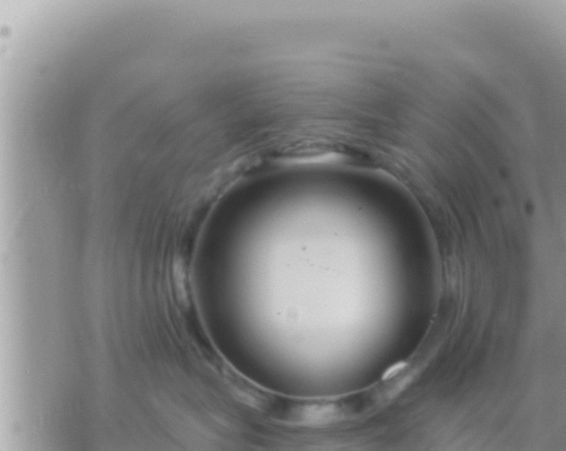 X0000073760575200608102049