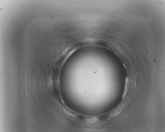 X0000073760576200608102049