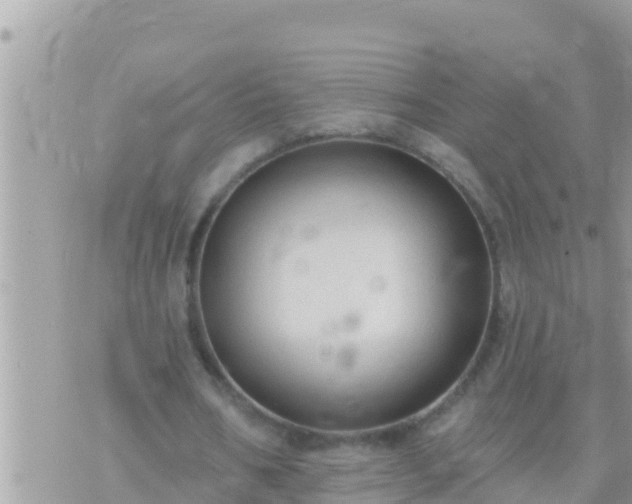 X0000073760578200608102048