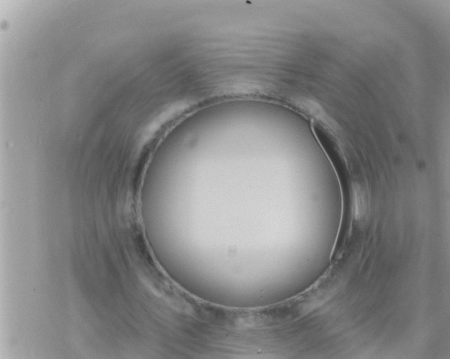 X0000073760579200608102048