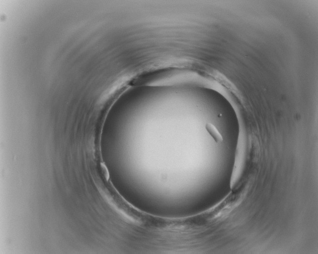 X0000073760581200608102048