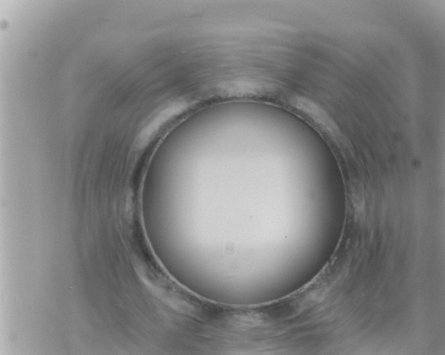 X0000073760583200608102048