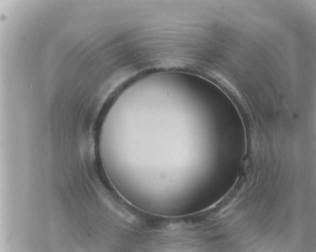 X0000073760584200608102048