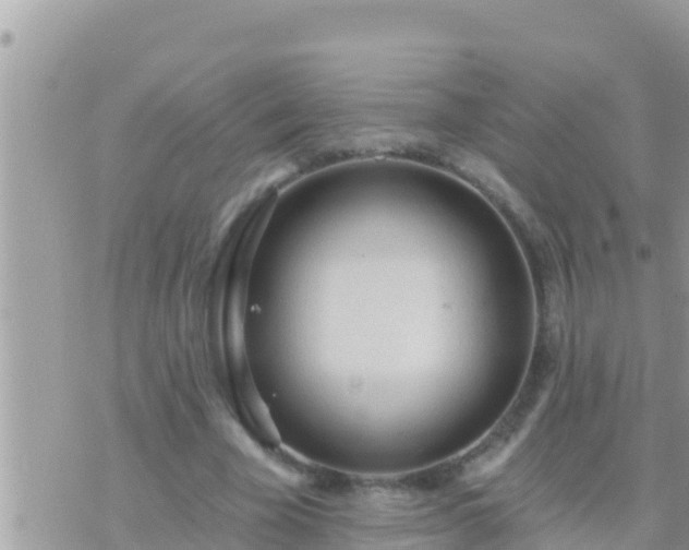 X0000073760585200608102048