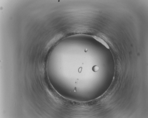 X0000073760586200608102048