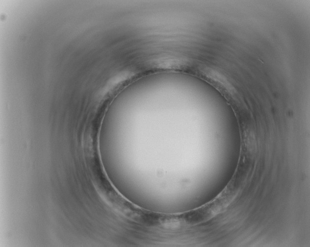 X0000073760587200608102048