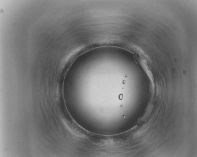 X0000073760588200608102048