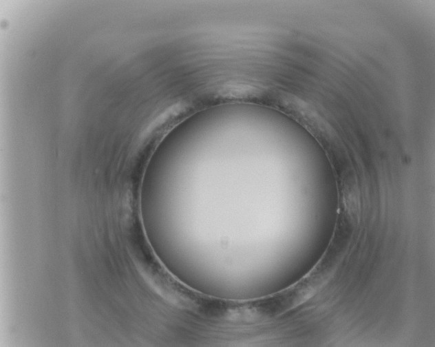 X0000073760591200608102048