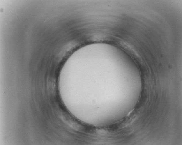 X0000073760592200608102047