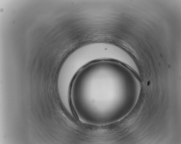 X0000073760593200608102047