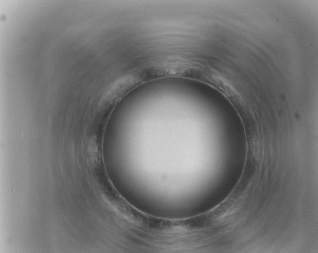 X0000073760594200608102047