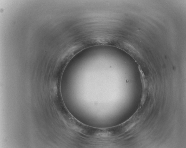 X0000073760595200608102047