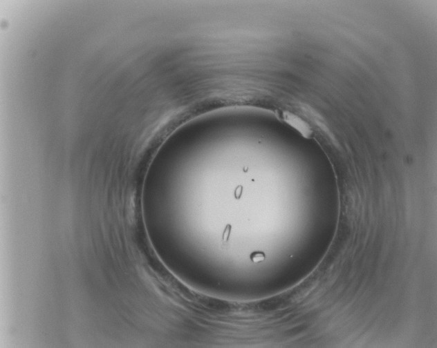 X0000073760596200608102047