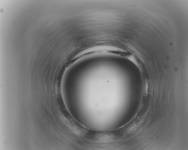 X0000073760597200608102047