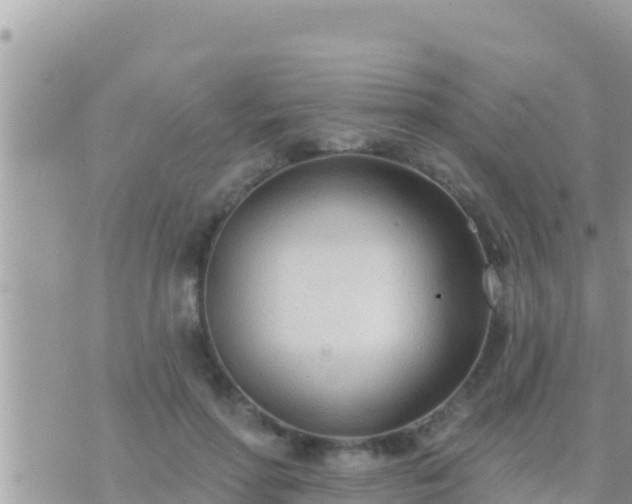 X0000073760598200608102047