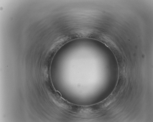 X0000073760599200608102047