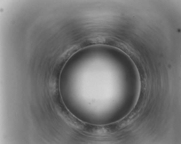 X0000073760600200608102047