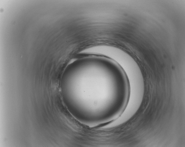 X0000073760601200608102047