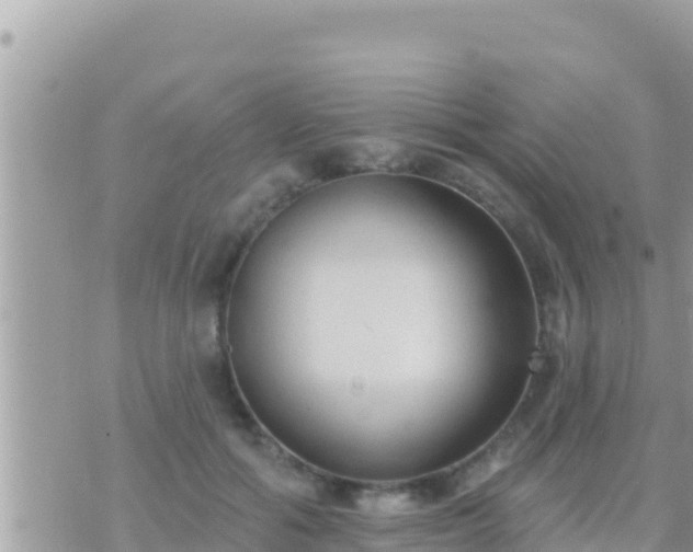 X0000073760602200608102047