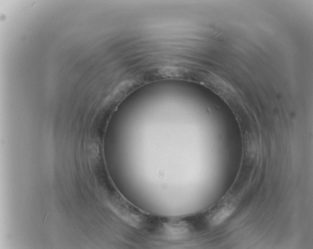 X0000073760603200608102047