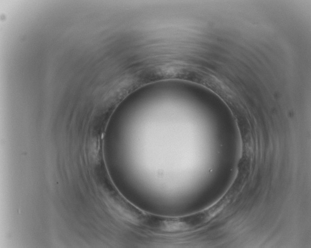 X0000073760605200608102047