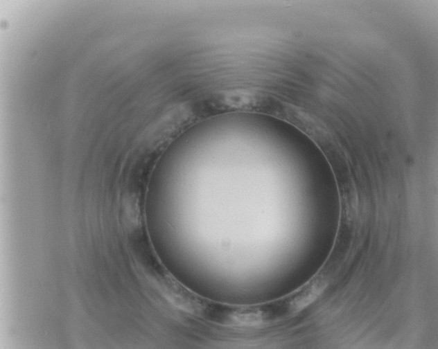 X0000073760606200608102047