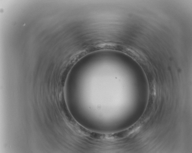 X0000073760607200608102047