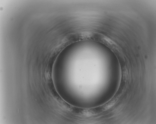 X0000073760608200608102047