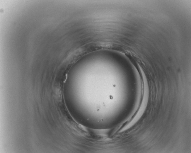 X0000073760609200608102047