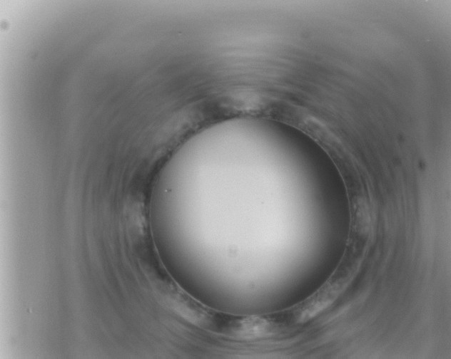 X0000073760612200608102047