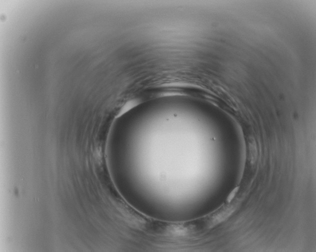 X0000073760613200608102047