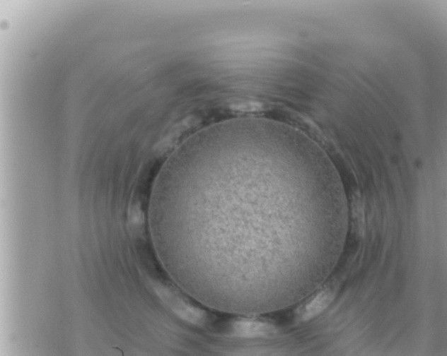 X0000073760614200608102047