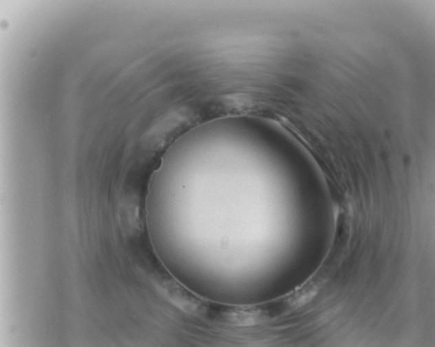 X0000073760615200608102047