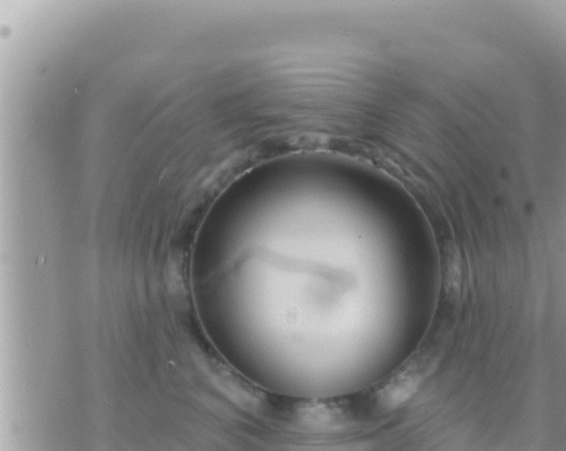 X0000073760616200608102047