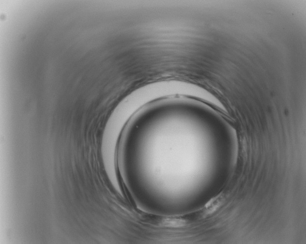 X0000073760617200608102047