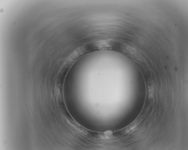 X0000073760618200608102047