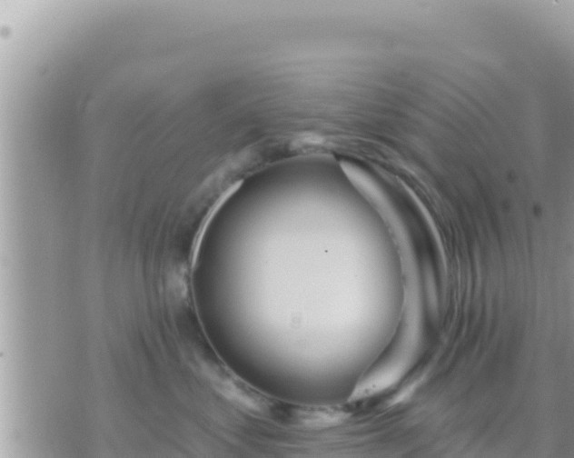 X0000073760621200608102047