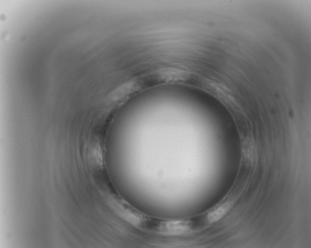 X0000073760622200608102047