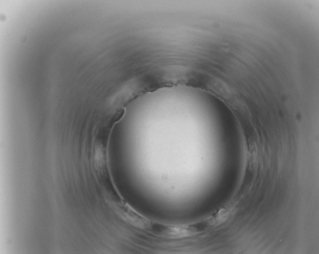 X0000073760623200608102047