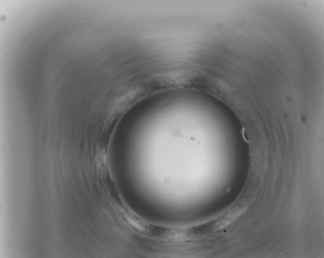 X0000073760624200608102047