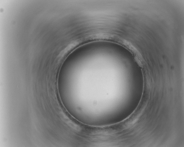 X0000073760625200608102046