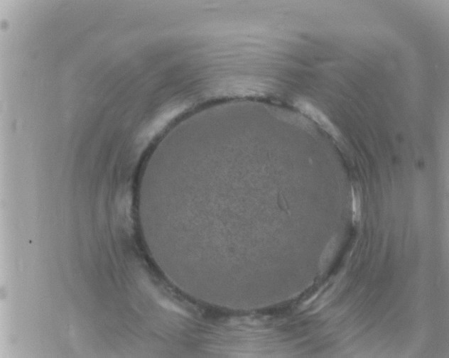 X0000073760627200608102046