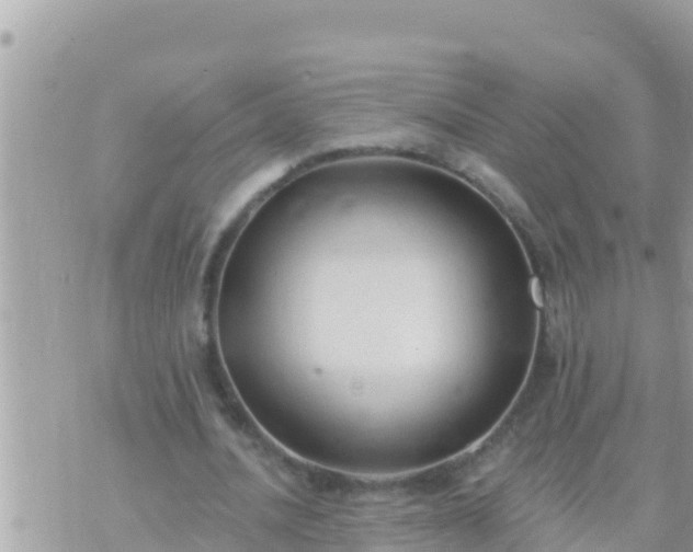 X0000073760628200608102046