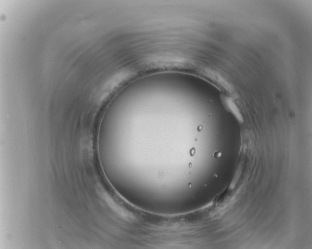 X0000073760629200608102046