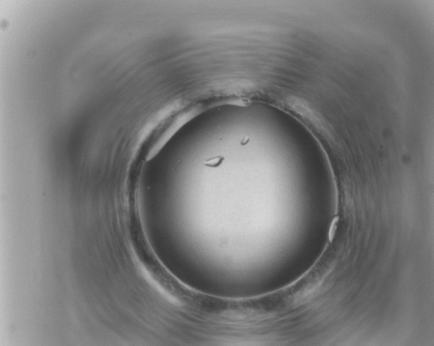 X0000073760630200608102046