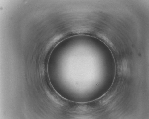 X0000073760631200608102046