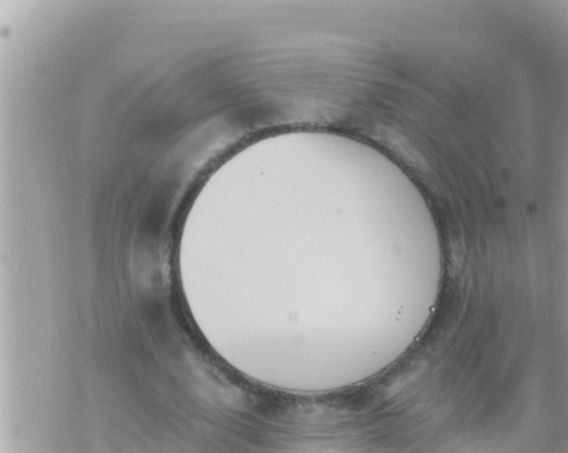 X0000073760632200608102046