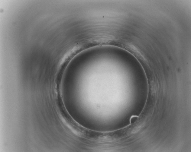 X0000073760634200608102046