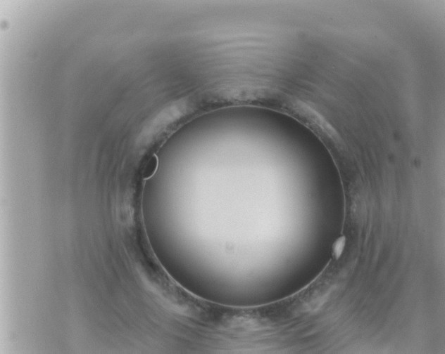 X0000073760635200608102046